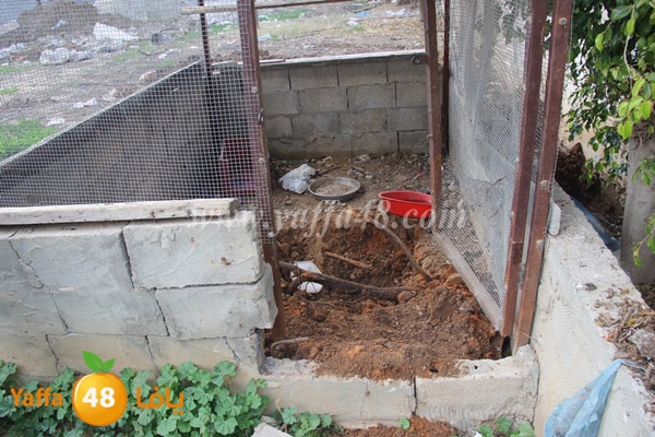 modahama lud 0216 (22).JPG